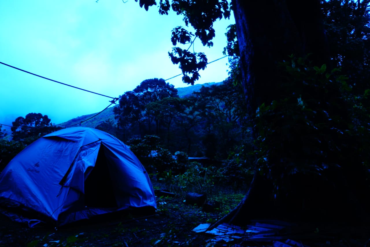 Nelliyampath Tent Camp - Tap to explore photos