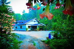 Greenpalaces Homestay, Chikmagalur