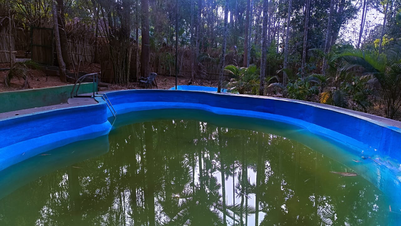 Ayurguru Ayurvedic Kalari Wayanad - Tap to explore photos