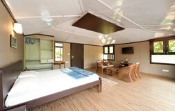 Living Room 1