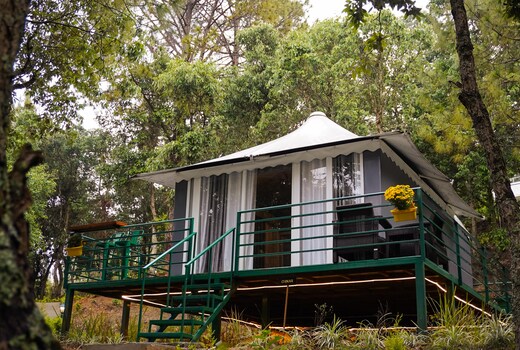Four Luxury Tents in Majkhali