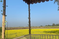 Natures nest  Experience the pulse of the wild, Palia Kalan