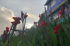 Ice Land Homestay - Zuluk, Gorubathan