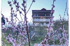 La Heim hostel, Manali