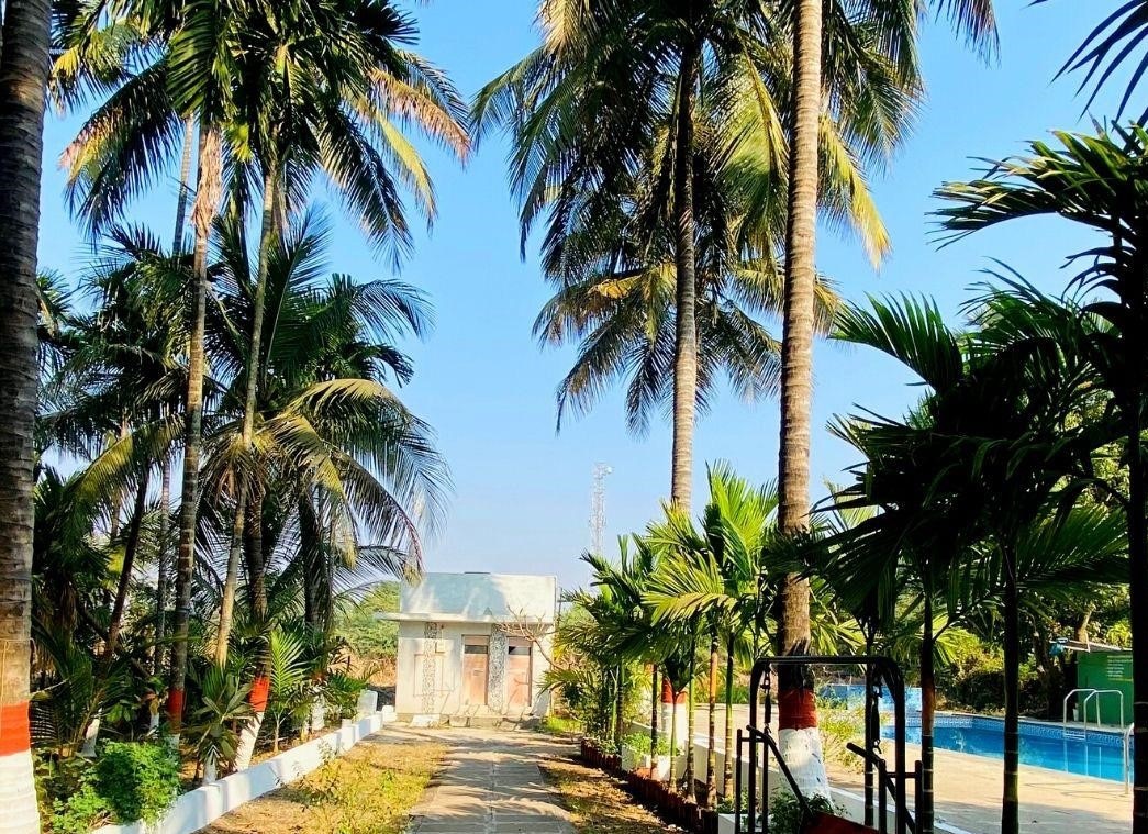 Royal Farm Resort | Rooms & Pool 4