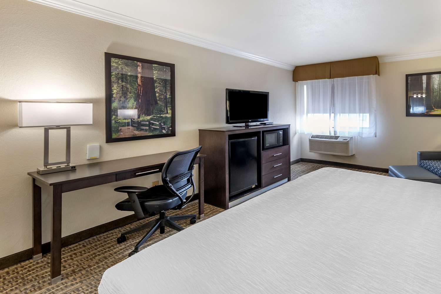 Best Western Town & Country Lodge - Tap to explore photos