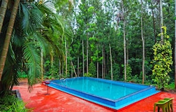 Swimming Pool 1