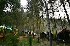Riverside Forest Camping, Gushaini