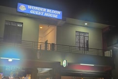 Wonder Bloom, Shillong