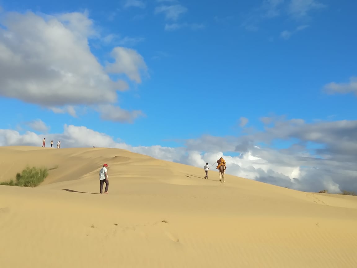 Stay On Dunes - Tap to explore photos