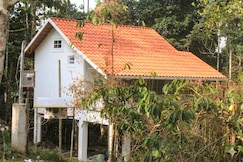 Spanish villa, Wayanad