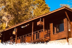 Sukoon Wellness Resources, Ranikhet