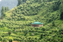Misty Mountain Lodge In Jibhi, Kasol