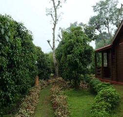 Arabica - Wooden Cottage