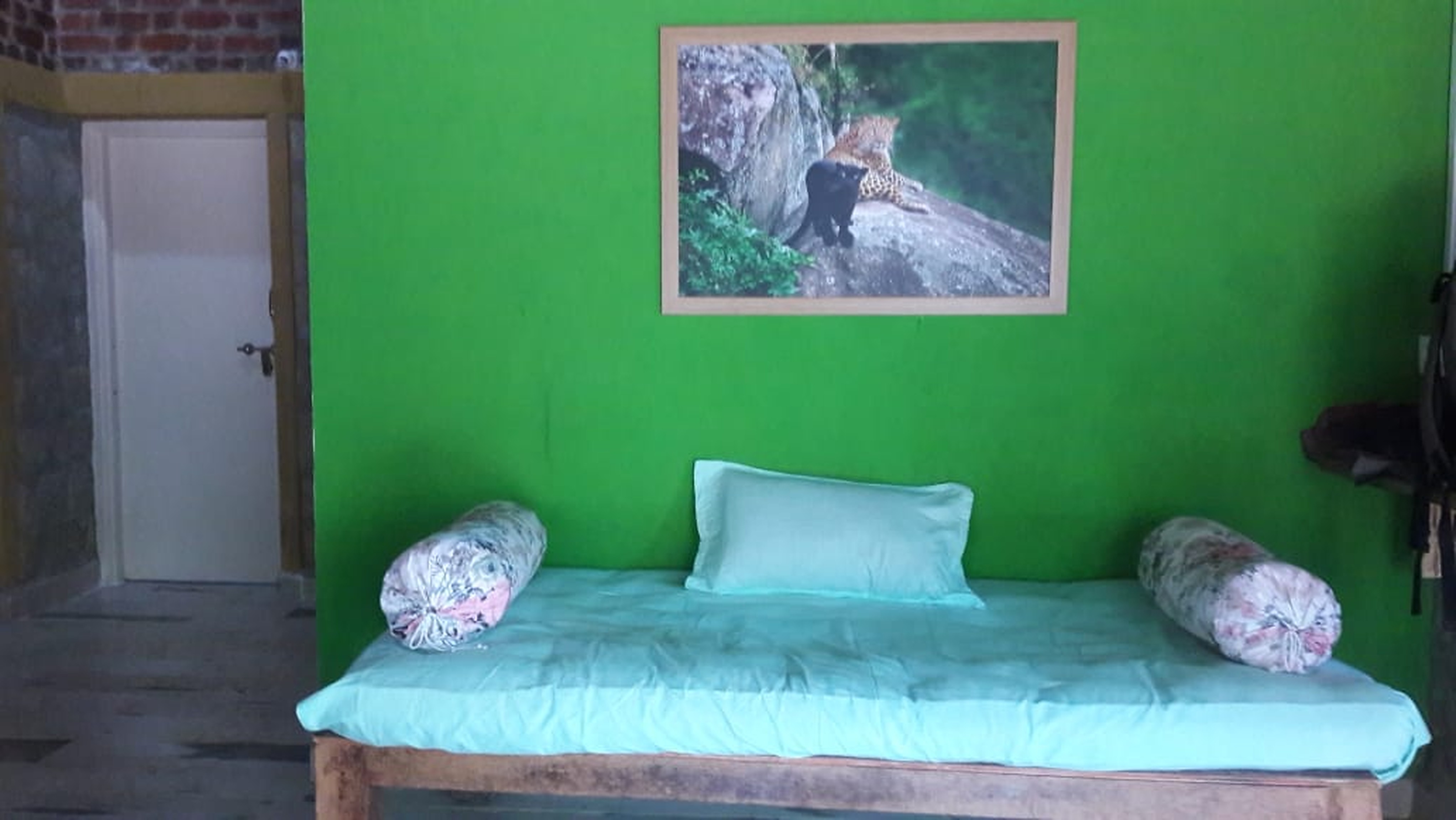 DANDELI JUNGLE COUNTY - Tap to explore photos