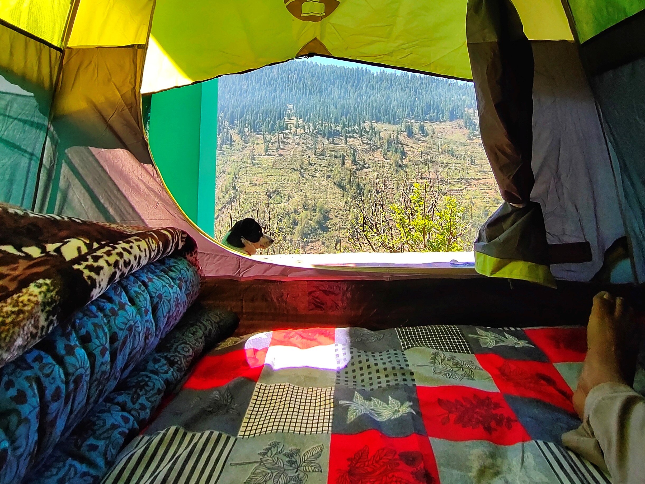 The Himalayan Art Cafe & Backpacker's Hostel - Tap to explore photos