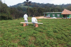 KATTEKALLU HOMESTAY, Coorg