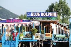 blue dolphin, Srinagar