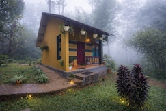 Misty D Silver, Munnar
