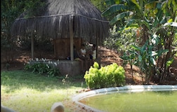 Jungle Cottage