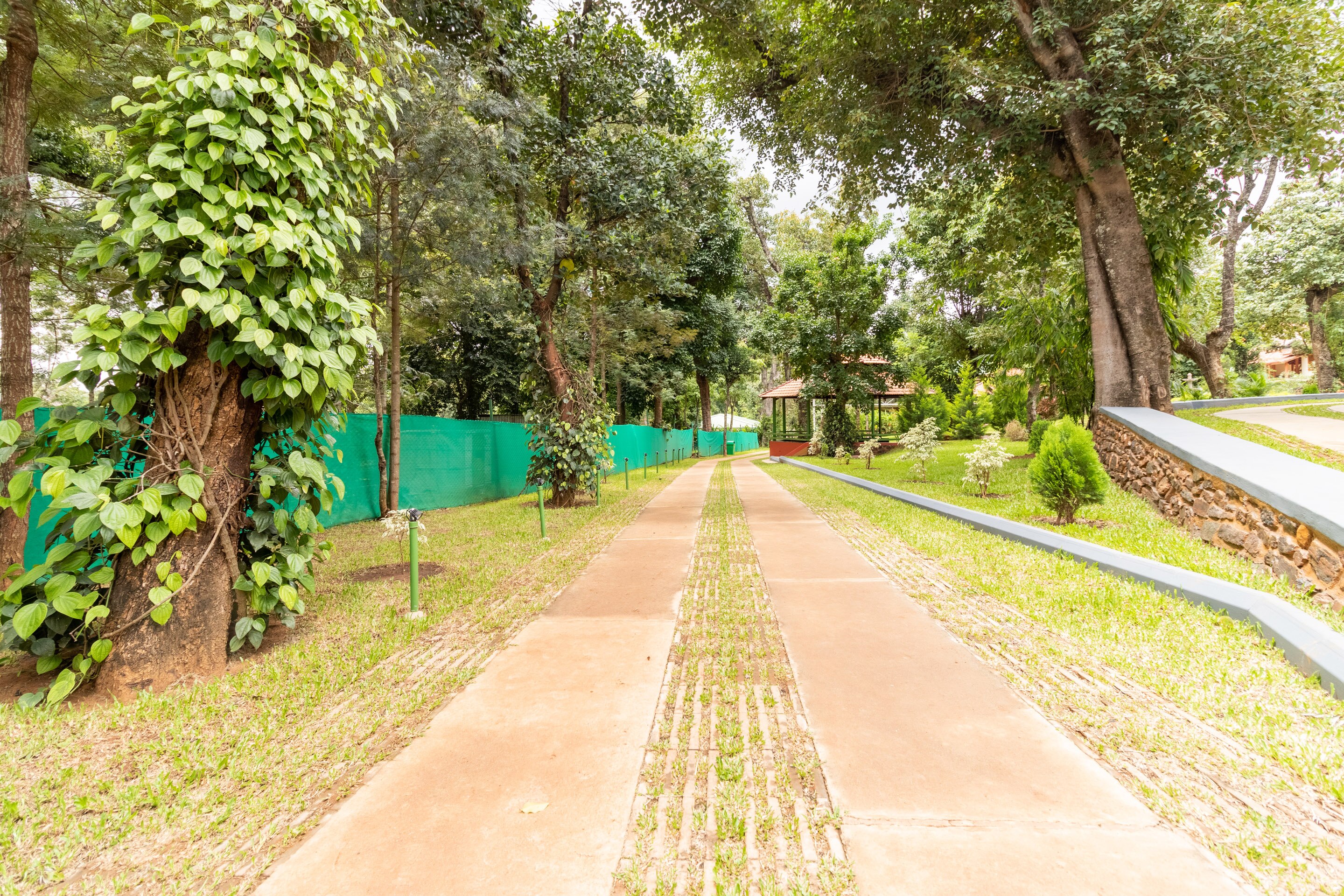 Honeydewwz Exoticaa Hotel & Resort Chikmagalur Resort Price, Address