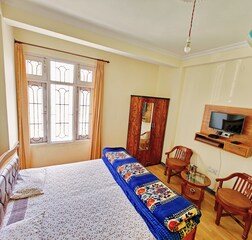 Hill view Room without balcony