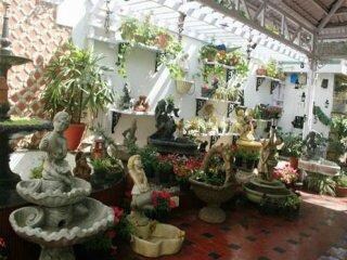 Terrace Gardens Guest House Bengaluru Apartment Price Address Reviews