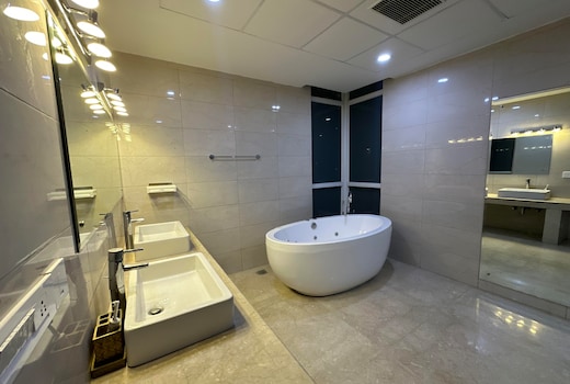 luxury master bedroom with bathtub