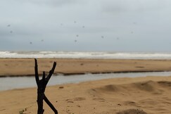 Coconut Tree Cafe, Gokarna