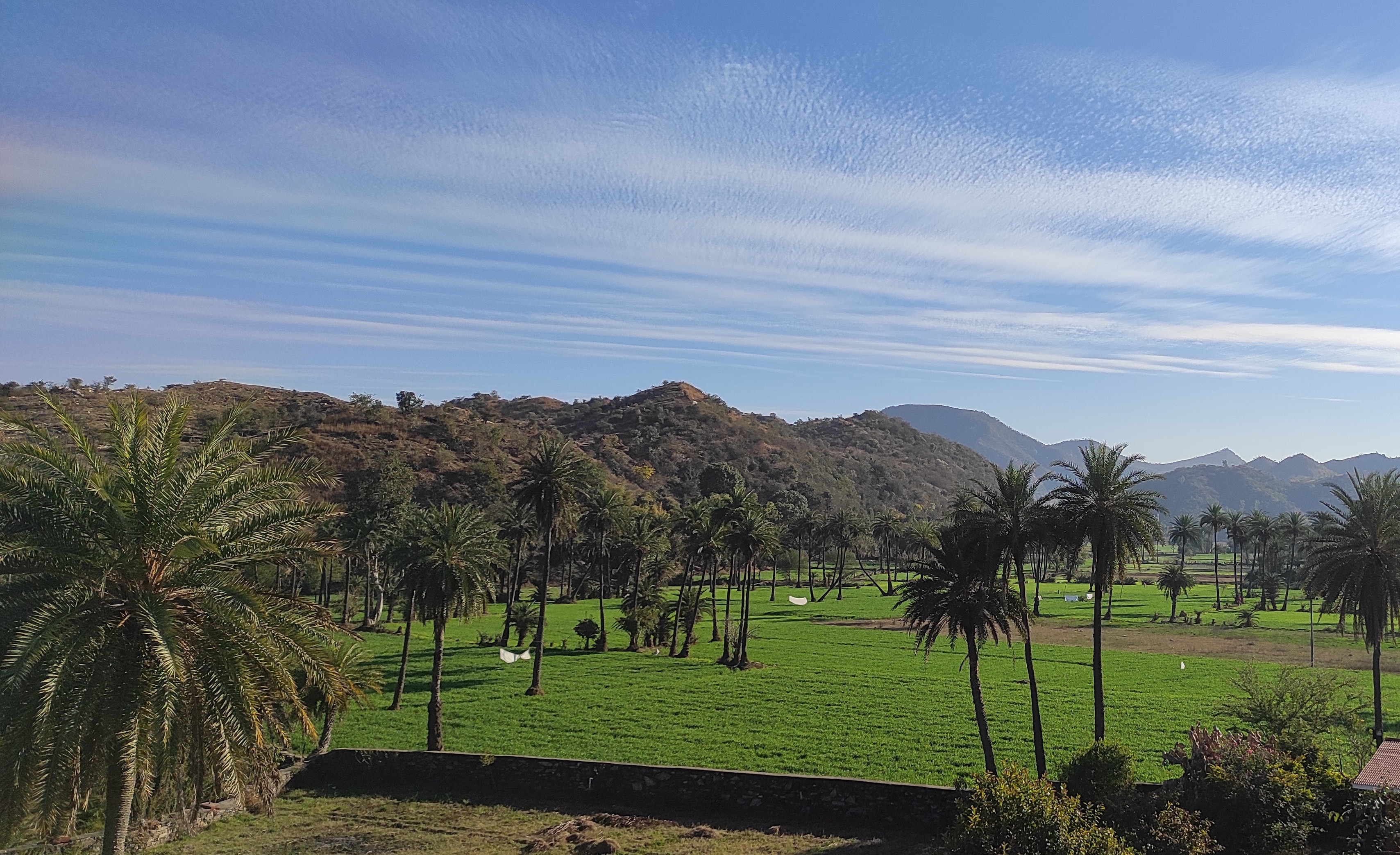 The Rukmani Bagh - Tap to explore photos