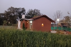 Blueberry hoometry, Betul