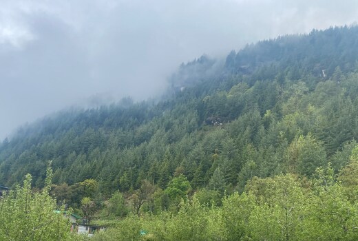 Skye Lodges Manali