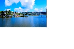 Lhasa Homestay, Mirik