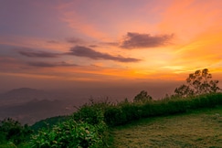 Tipperary Cloud Nine, Yercaud