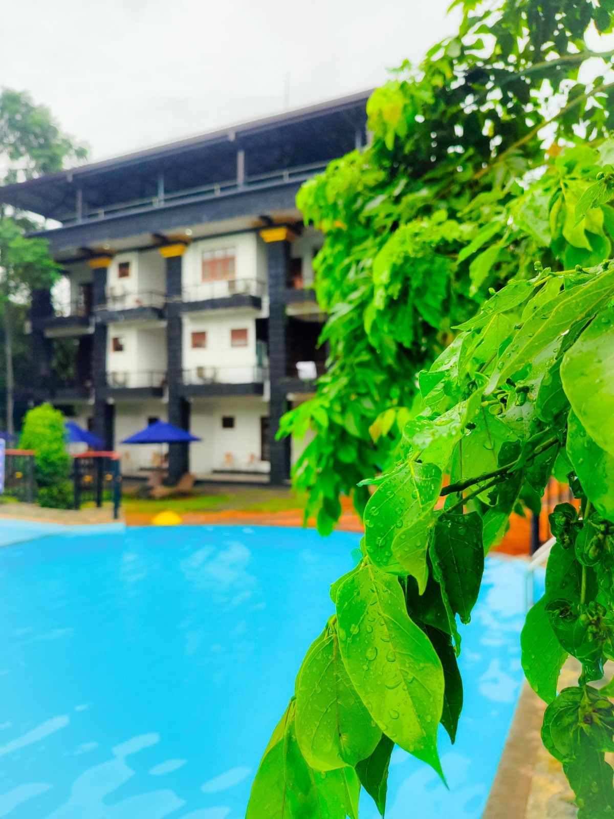 Sigiriya Kingdom Resort & Spa - Tap to explore photos
