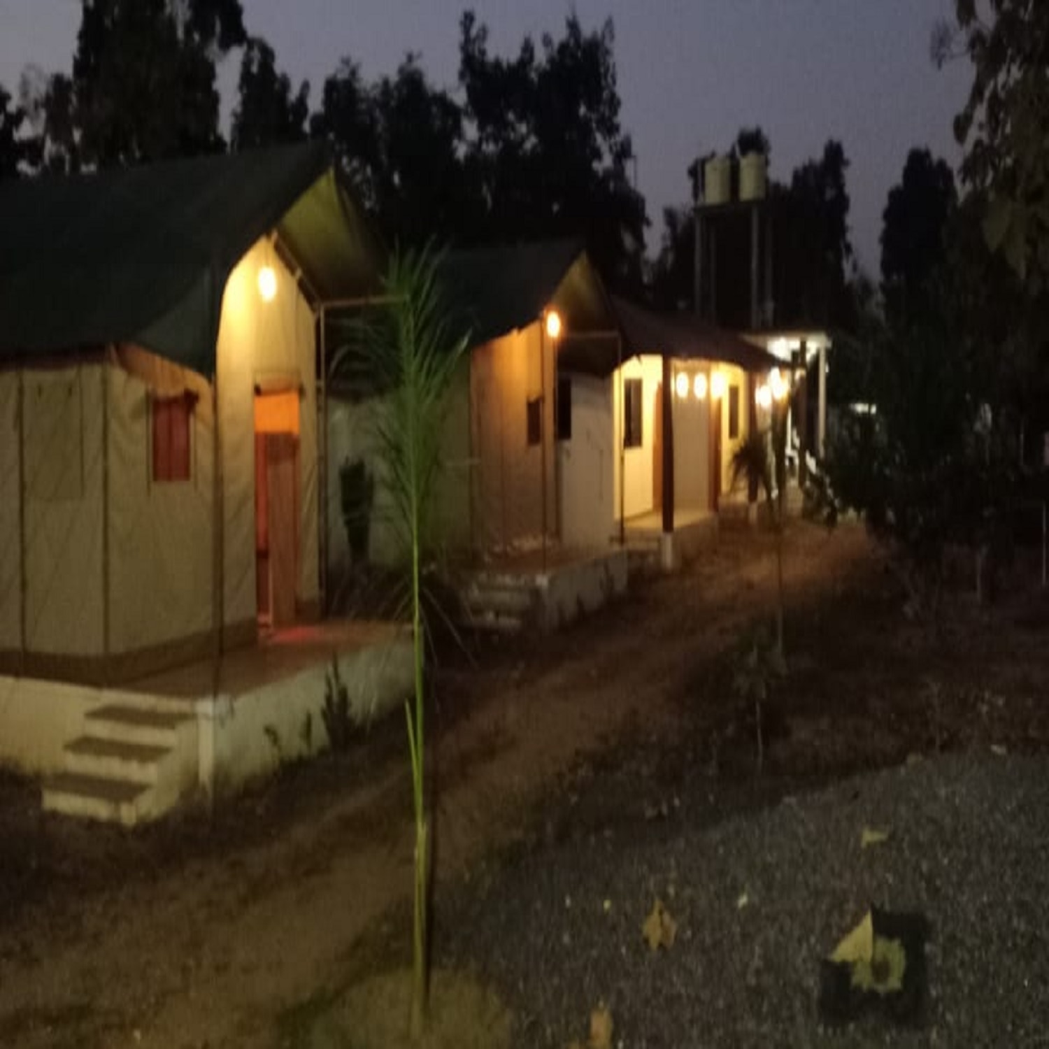 Sparsh tiger resort Nagzira - Tap to explore photos