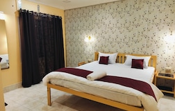 Deluxe Room With AC
