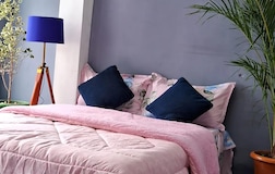 Quadruple Rooms