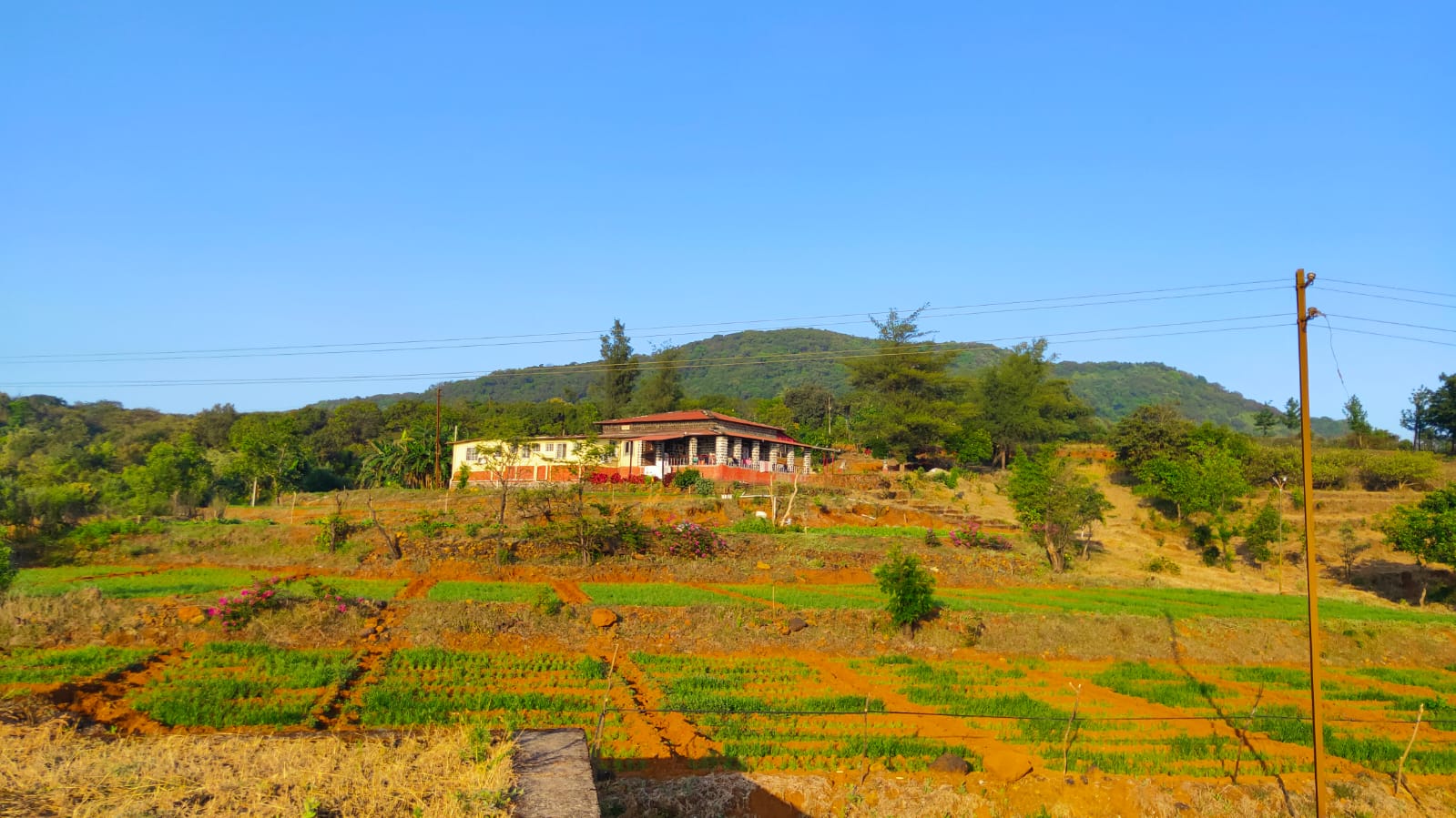 Matru Iccha Bunglow - Tap to explore photos