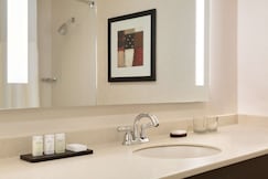 Embassy Suites Chicago - North Shore/Deerfield, Chicago
