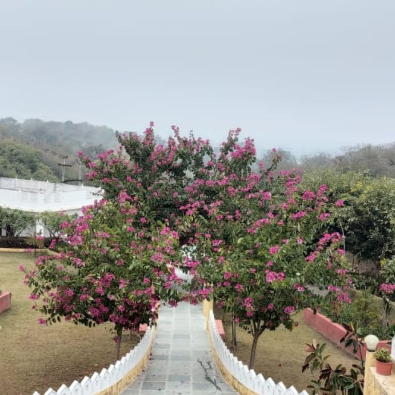 Hotel Mewar Mansion - Tap to explore photos
