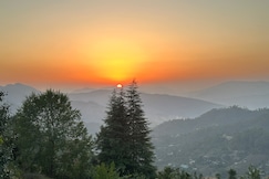 White Grove, Mukteshwar
