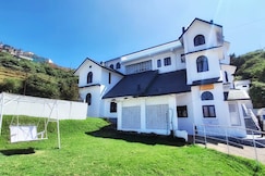 White Legacy, Ooty