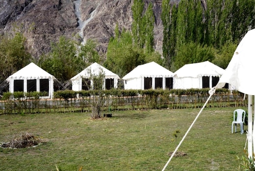 Terrain Ladakh Camping