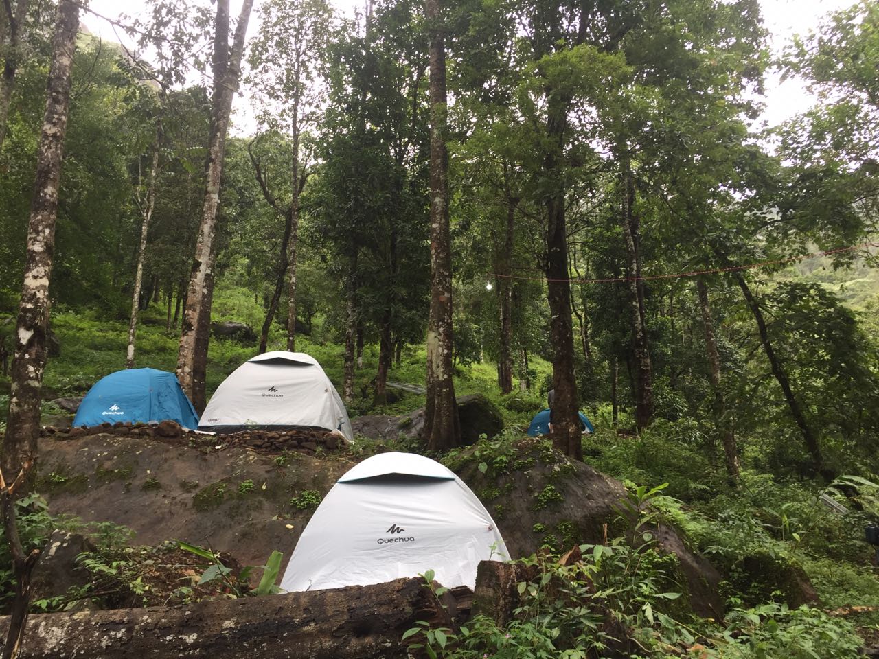 Rainforest Camping - Tap to explore photos