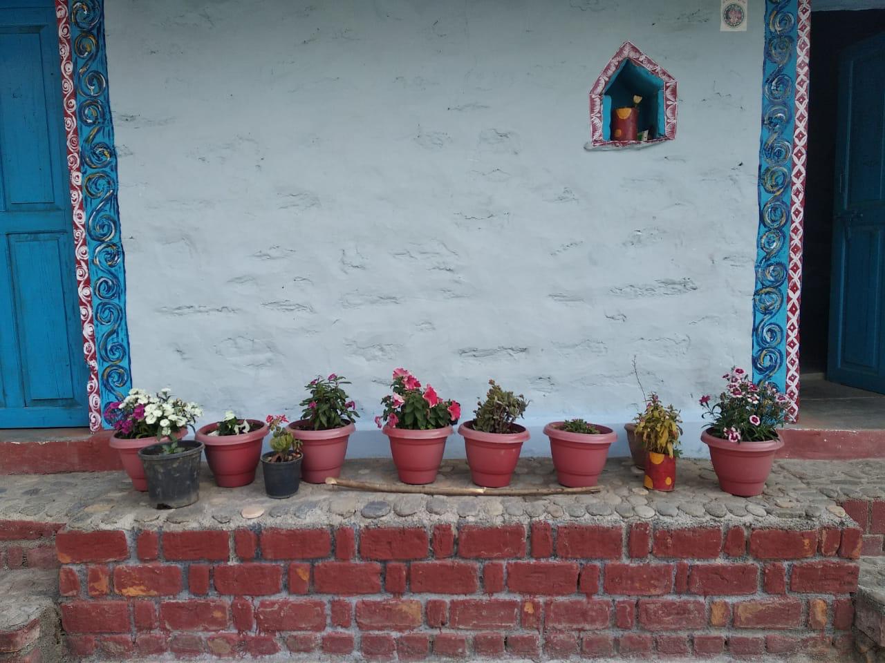 Bakhali Homestay - Tap to explore photos