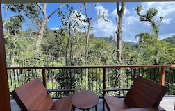 Standard Mountain Room with Balcony