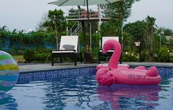 Swimming Pool 1