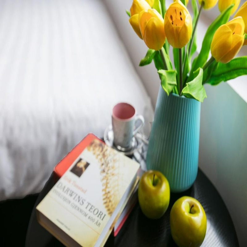Splendid Star grand hotel and spa - Tap to explore photos