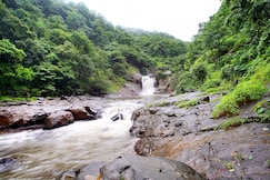 Blue Green Exotica, Shrivardhan